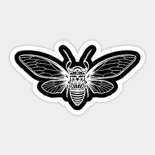 Cicada Cicadas Brood Insect Sticker